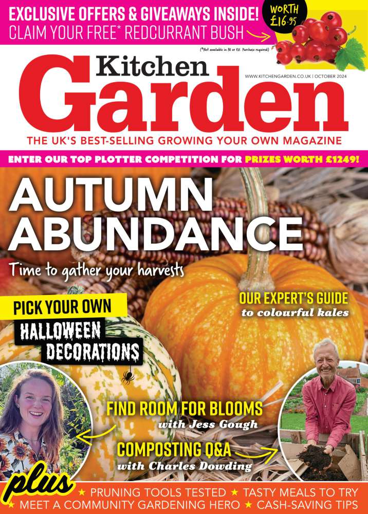 Kitchen Garden Magazine Subscription Offer - 12 issues of Kitchen Garden in the post over the next year. You will also receive a pair of secateurs, along with 20 packets of seeds.