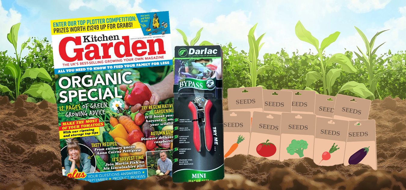 Kitchen Garden Magazine Subscription Offer - 12 issues of Kitchen Garden in the post over the next year. You will also receive a pair of secateurs, along with 20 packets of seeds.